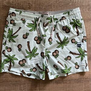 EUC Party Pants Pineapple 🍍 Palm Tree 🌴 Print Boys Size XL